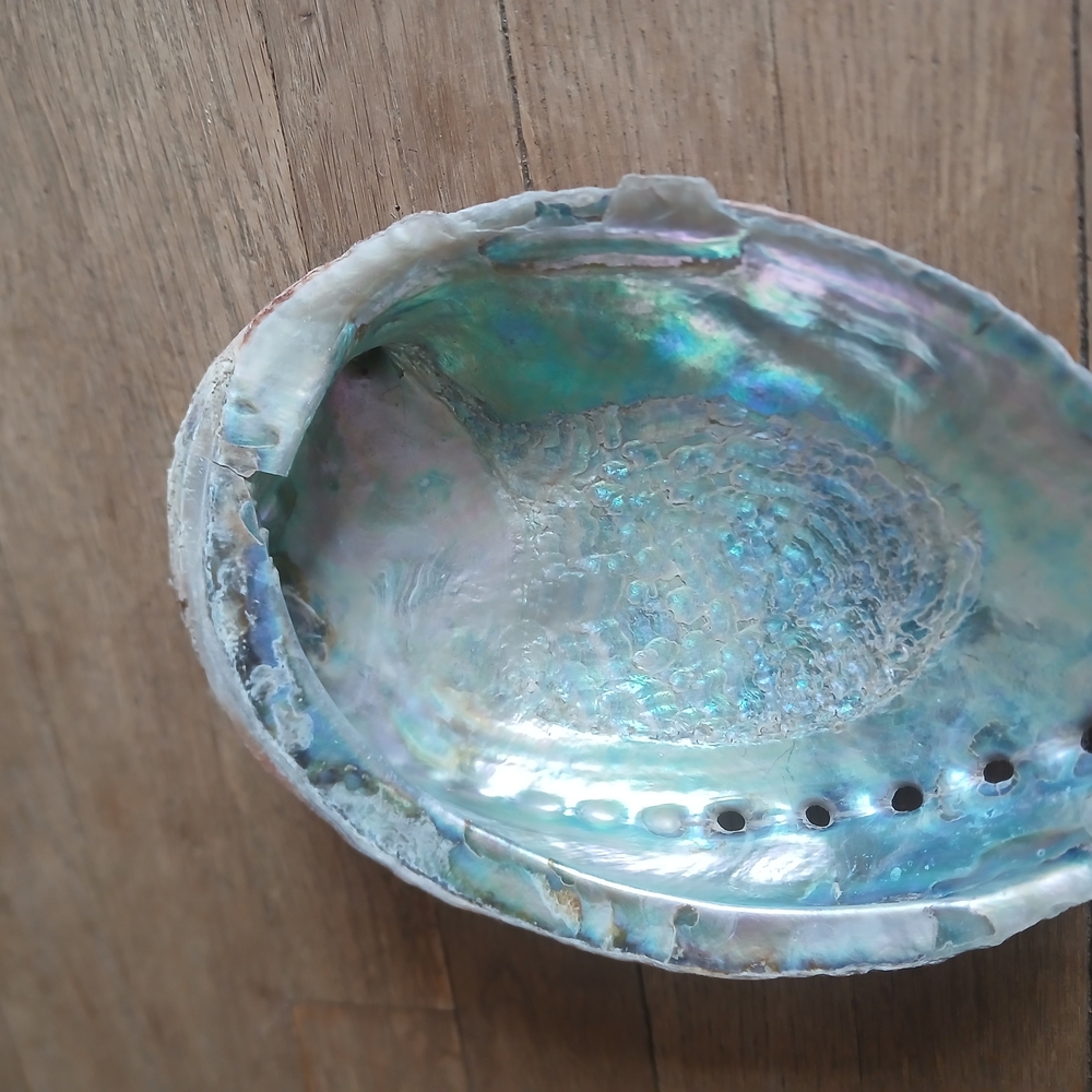 Iridescent Abalone Shell Art Piece